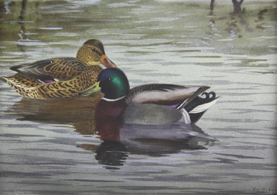 After Philip Rickman (1891-1982) Ducks on a pond, 11 x 14.75in., in glazed faux bamboo frames
